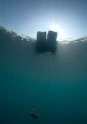 Bouys,Capernwray 10.5mm. by Derek Haslam 